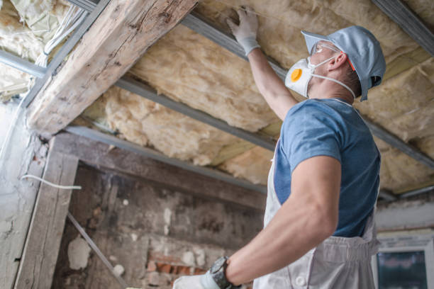 Best Insulation Maintenance and Repair in Glenns Ferry, ID